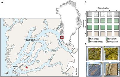 Canopy-Forming Macroalgae Facilitate Recolonization of Sub-Arctic Intertidal Fauna and Reduce Temperature Extremes